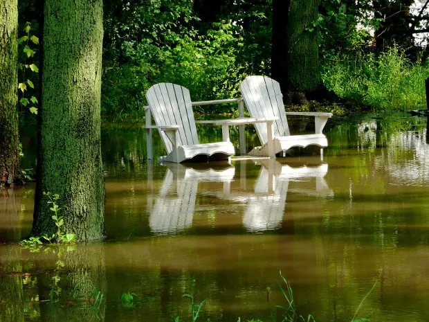 Reasons to Consider Having a Catch Basin Installed