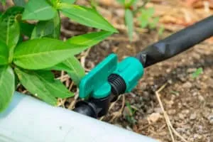 Sprinkler Valve Solenoid is Bad