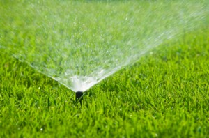 Plano Extends Watering Restrictions