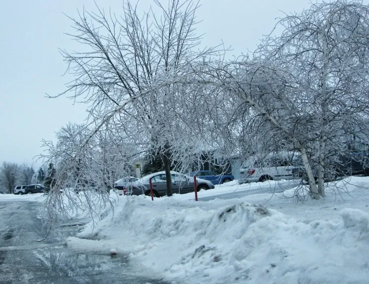 Winterize your irrigation system