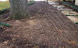 Benefits of Drip Irrigation
