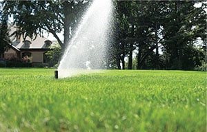 Andys Sprinkler Drainage of Austin and Round Rock Texas uses Rainbird Sprinkler Systems parts to create a beautiful lawn that your neighbors will envy from now on