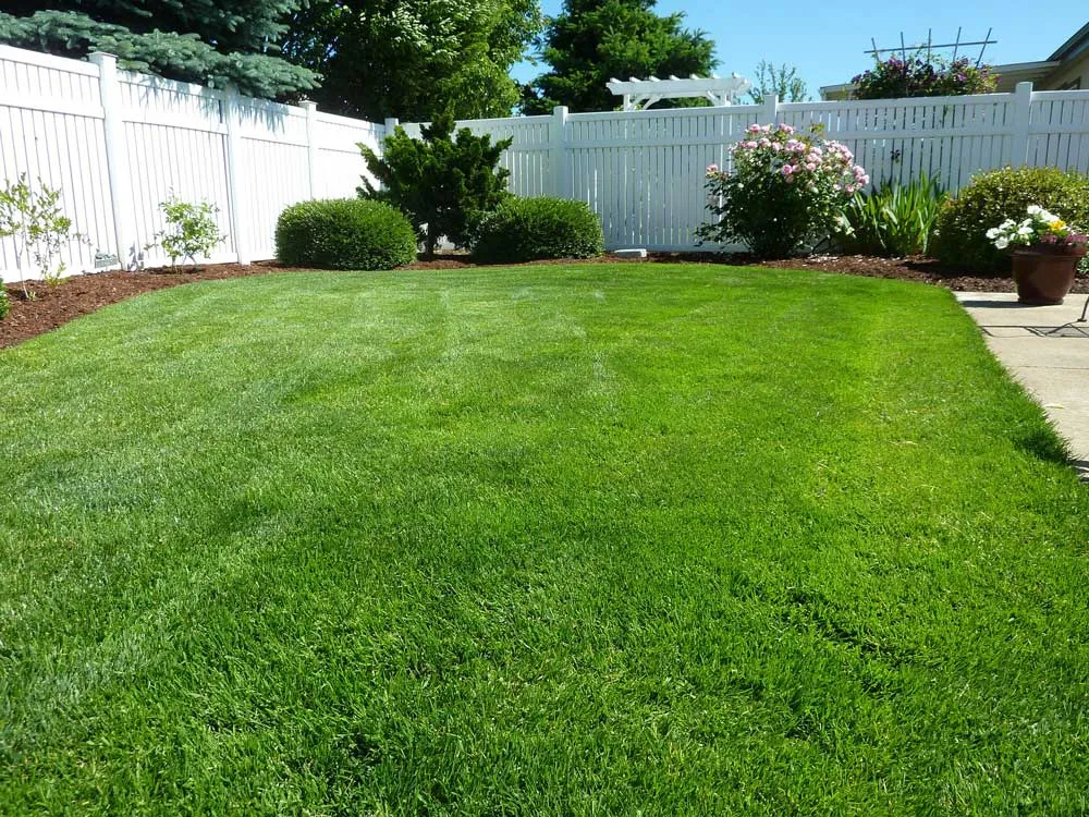 Add More Green to your Yard This Spring