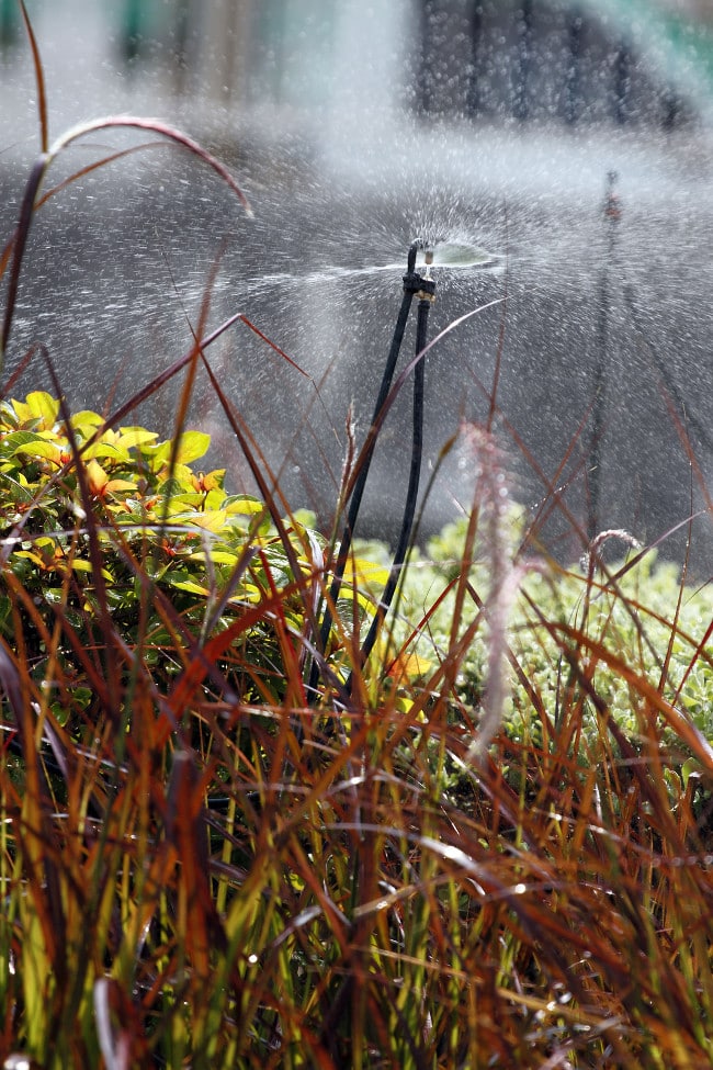 Smart Sprinklers, Connected to the weather, New Techie Heads