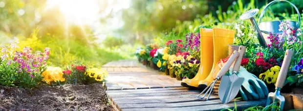 Prep for Fall Gardening: A Homesteader's Perspective