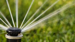 Properly Flush and Install a New Sprinkler Nozzle