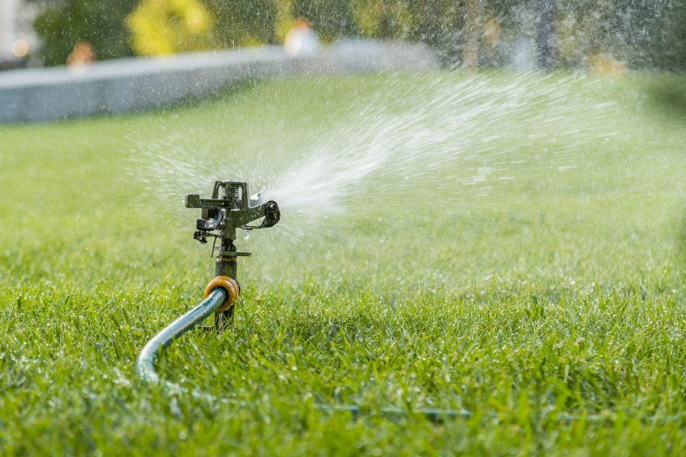 What You Need to Know About Watering Landscapes in Windy Climates