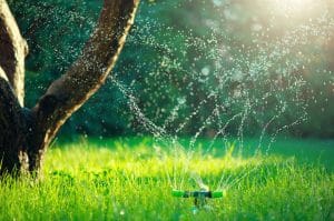 Top Questions to Ask an Irrigation Specialist