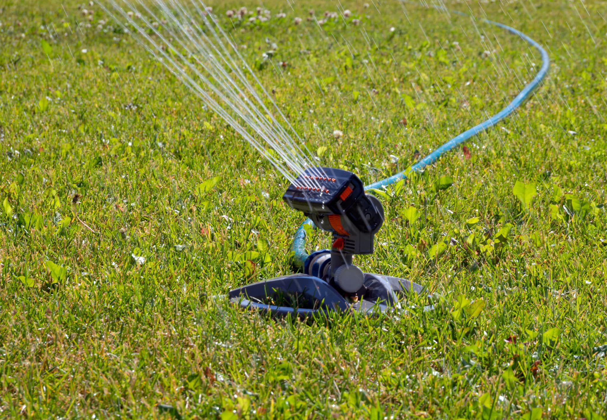 how-to-get-rid-of-standing-water-in-your-yard-andy-s-sprinkler