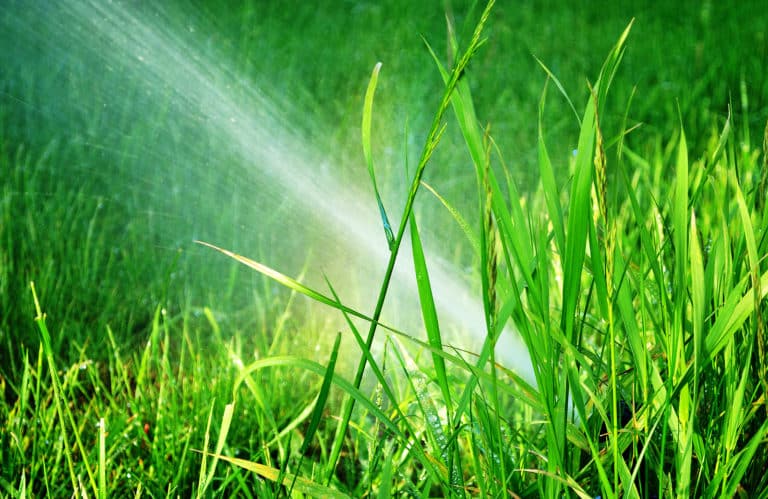 how-to-find-a-leak-in-your-sprinkler-system-heb-plumbing-sprinkler