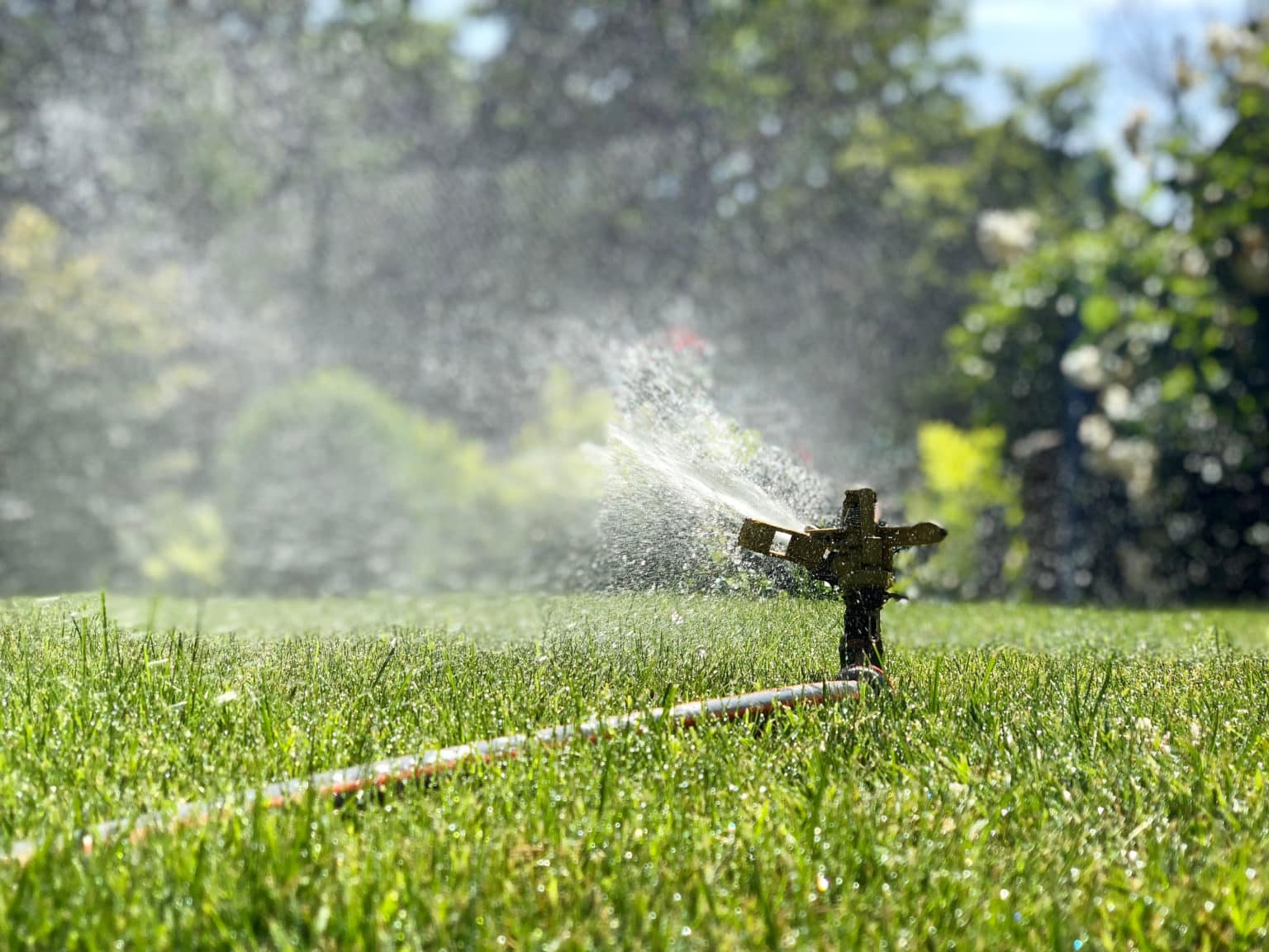 Why Won't My Sprinkler System Turn On? Andy’s Sprinkler