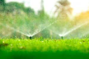 Sprinkler, Drip Irrigation, Drainage & Landscape Lighting Services Collinsville, TX