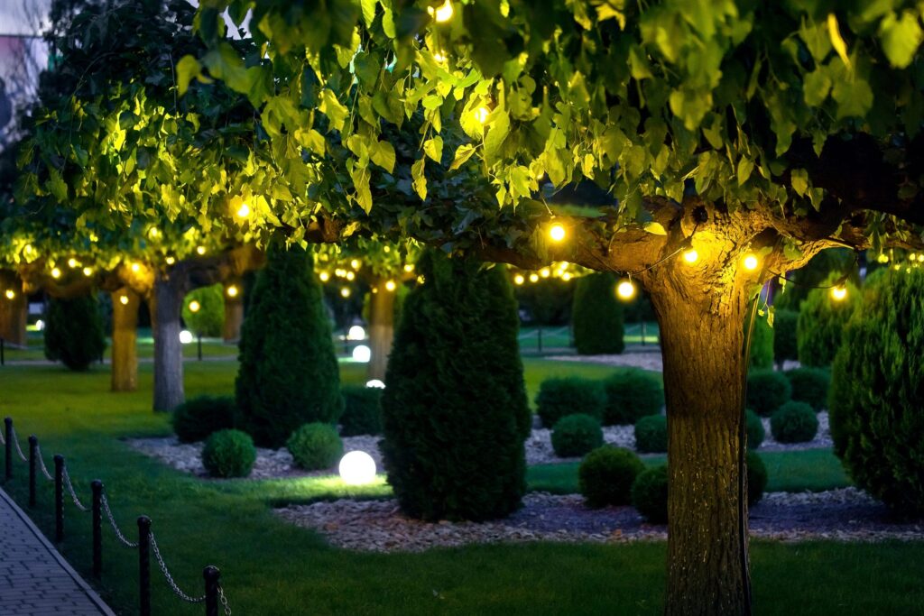 Where to Place Landscape Lighting