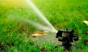 Sprinkler, Drip Irrigation, Drainage & Landscape Lighting Services Greenville, TX