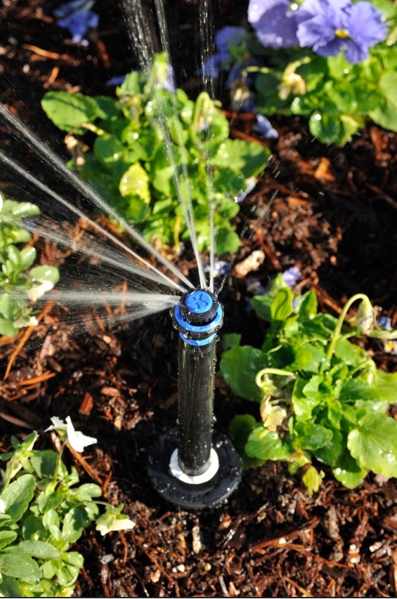 How to Address a Sprinkler Head Not Spraying | Andy's Sprinkler