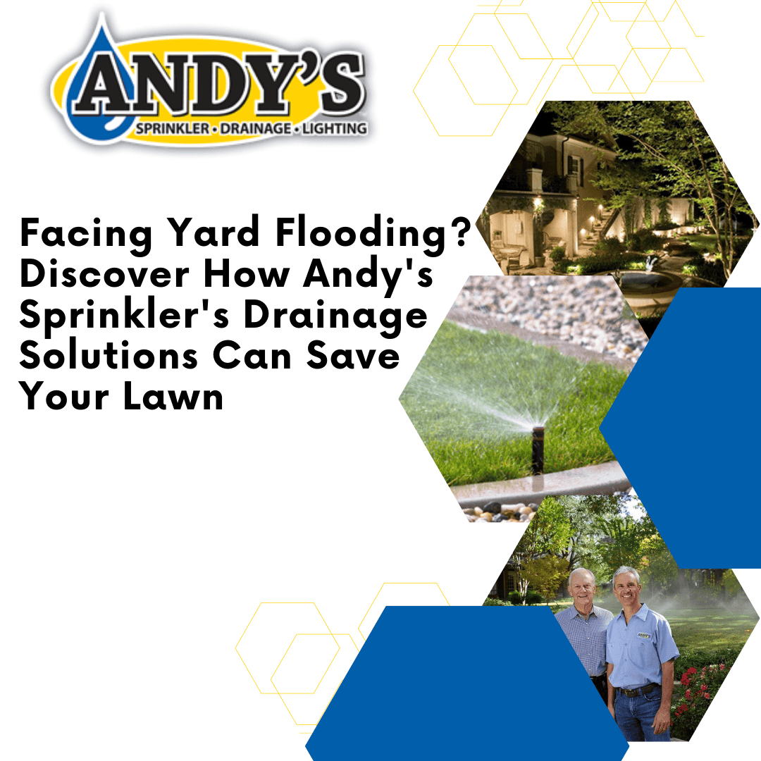 Yard Flooding Issues Solutions to Save Your Lawn Andy’s Sprinkler
