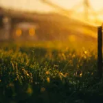 How to Winterize Your Sprinkler System